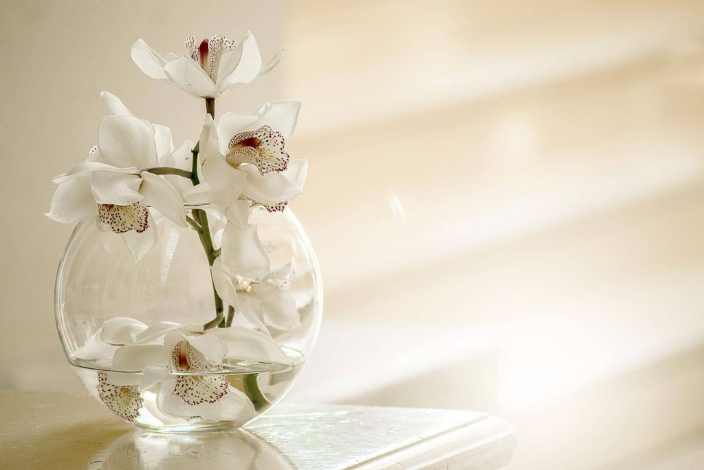 Exotic white orchids in a glass vase - Seattle Masculine Interior Design