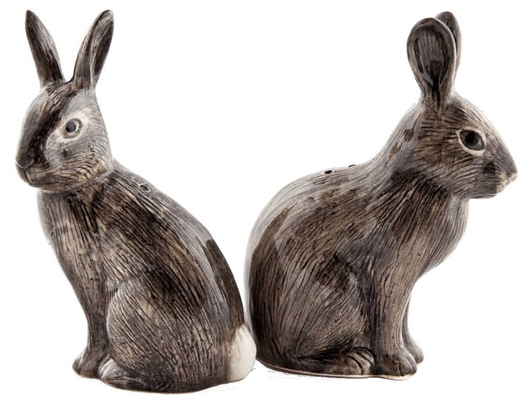 A pair of salt and pepper shakers from Quail Ceramics in the UK in the shape of wild rabbits. 