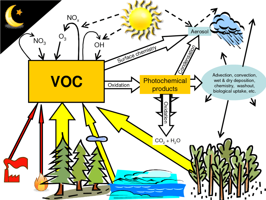 VOC-Diagram-Biogenic-and-Ambient-Concentrations