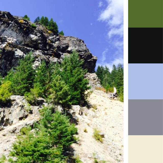 Pacific northwest mountains wild colors palette - ColorsWall