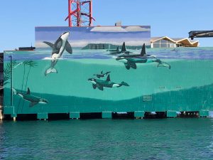 Wyland Wall mural at the Edgewater Hotel in Seattle.