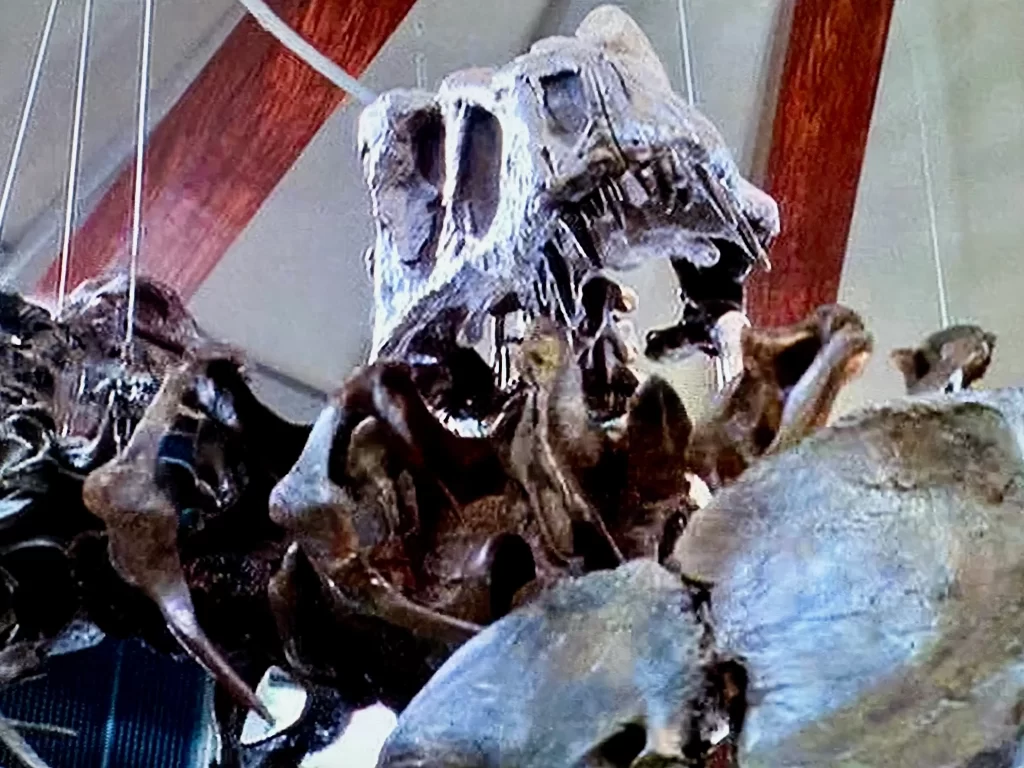 Skeletons in the Jurassic Park Visitor Center.