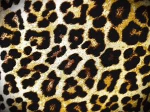 Leopard print jacquard fabric textile.