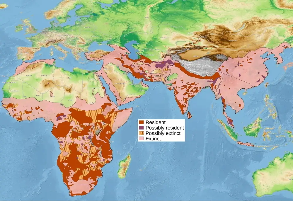 Leopard (Panthera pardus) distribution map